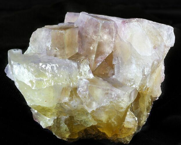 Cubic Fluorite Crystal Cluster - Cave-in-Rock, Illinois #45925
